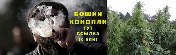 ешки Медногорск