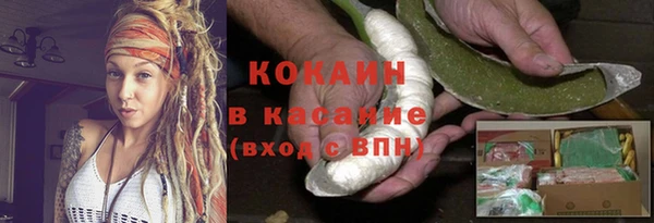 дмт Мегион