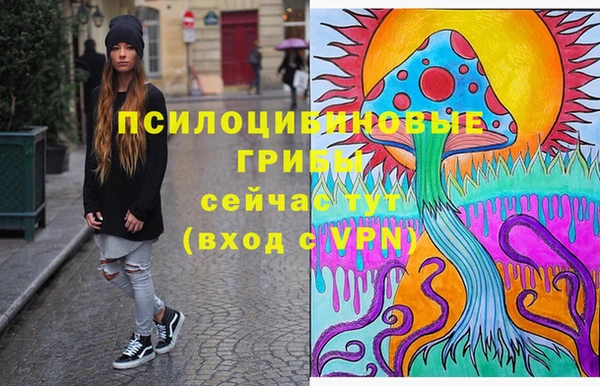 стафф Липки