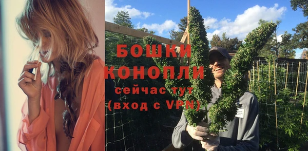 спайс Анива
