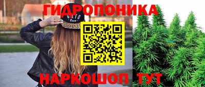 спайс Дубна