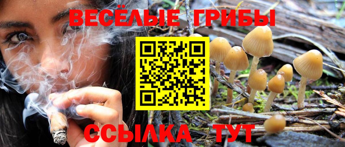 Псилоцибиновые грибы мухоморы  дарнет шоп  Нефтекумск 