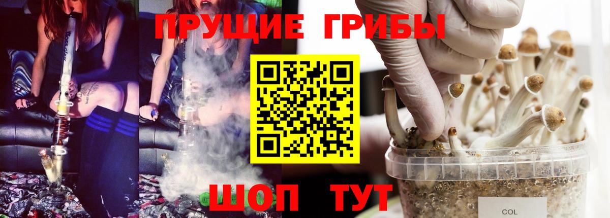 Галлюциногенные грибы Psilocybine cubensis  Вход с VPN  Галлюциногенные грибы прущие грибы  Нефтекумск 